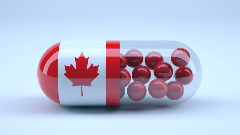 Great Options for the Perfect Use in the Canadian Pharmacy Now