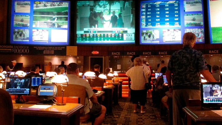 Sports Betting Businesses: Things to Expect in 2020