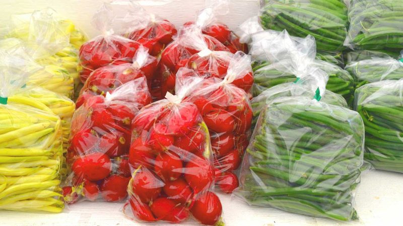 Major Benefits of Using Manufactured Plastic Bags for Food Packaging