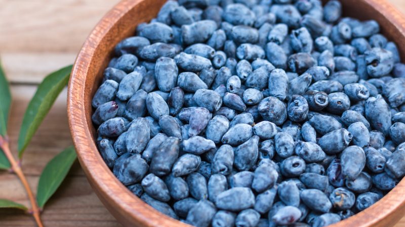 Right Ways to Preserve Your Bulk Haskap Berries